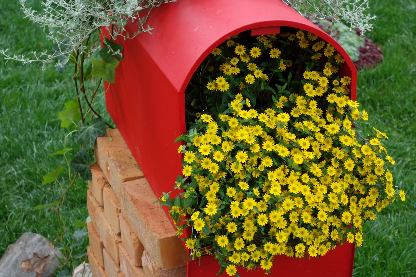 Sony Cyber-shot DSC-RX100 II sample photo. Red postbox, yellow flower photography