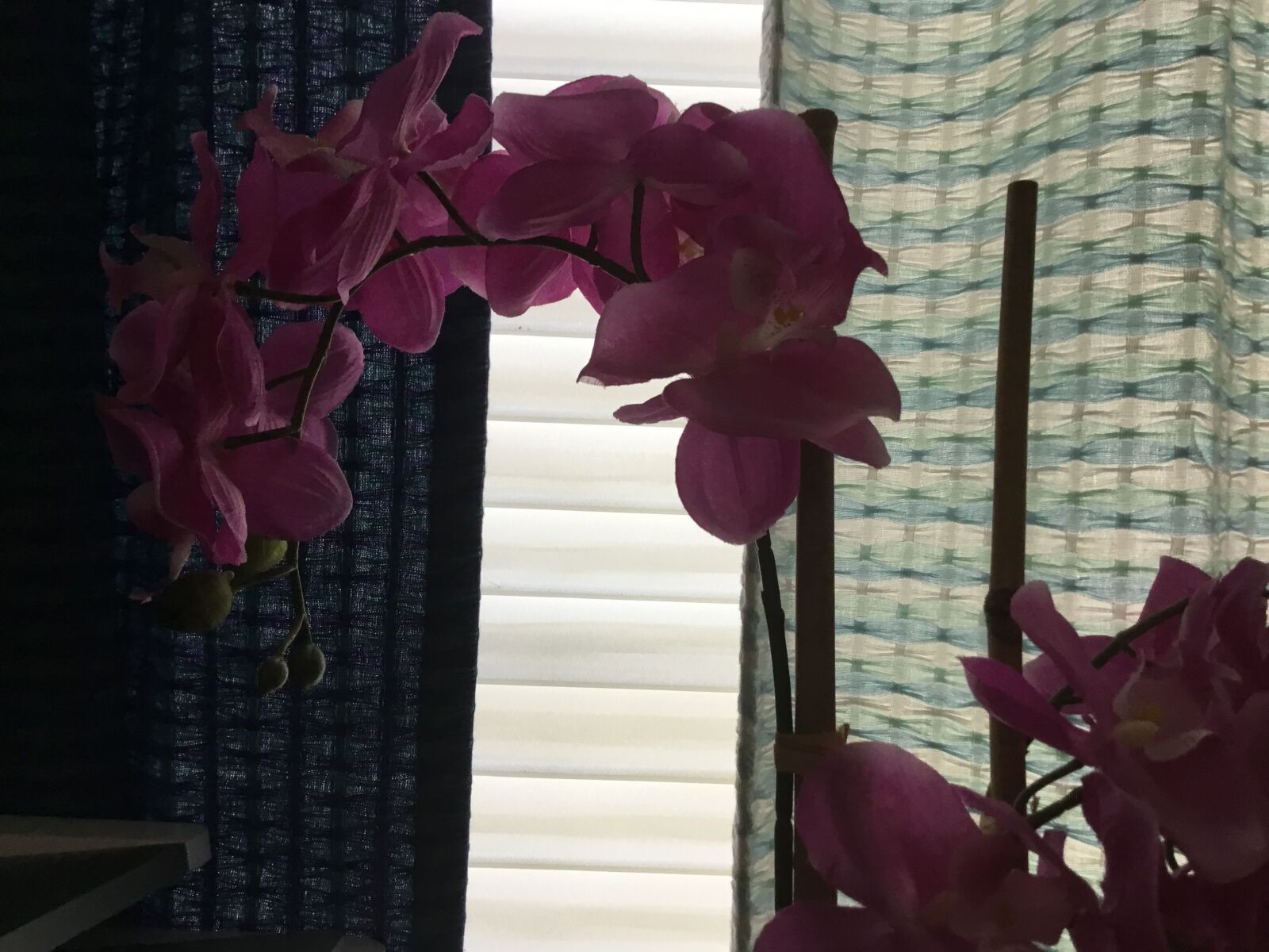 Apple iPad (5th generation) sample photo