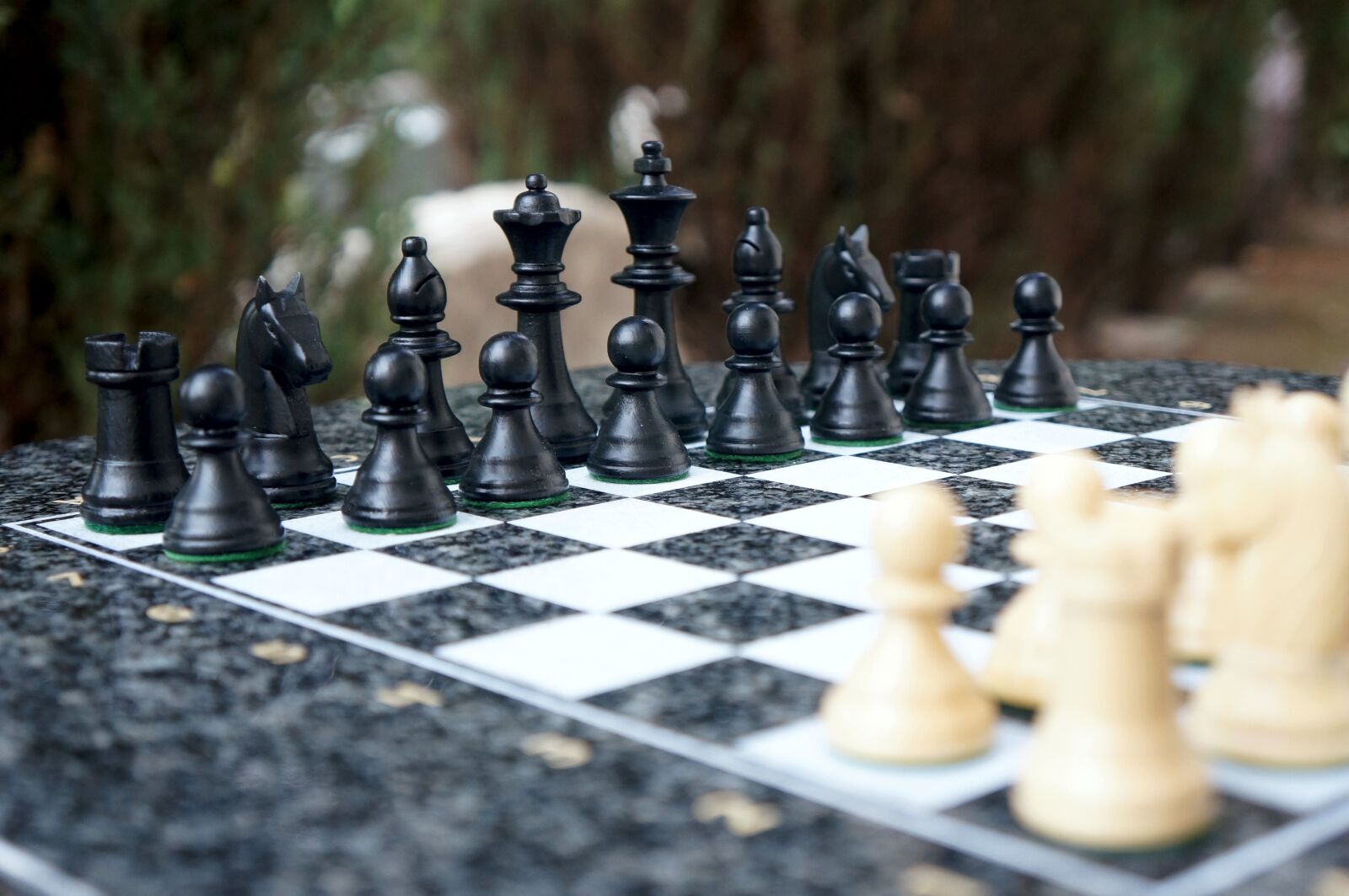 Sony Alpha NEX-5N sample photo. Chess, play, chess board photography