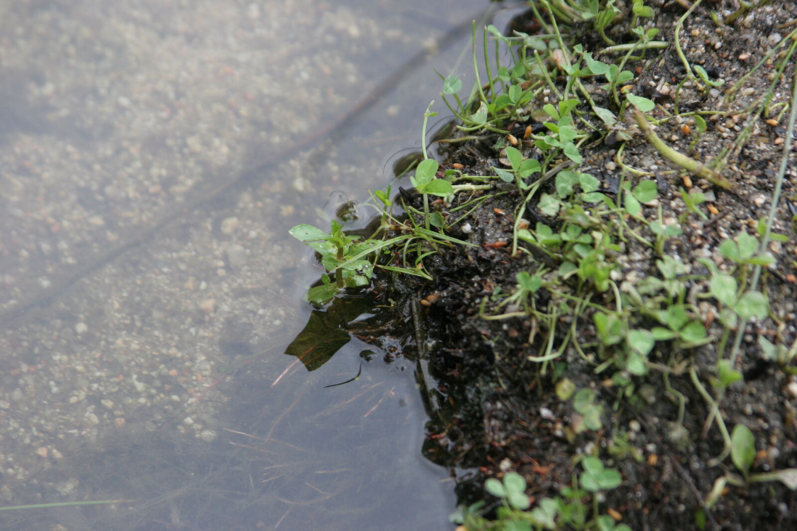 Canon EOS 20D sample photo