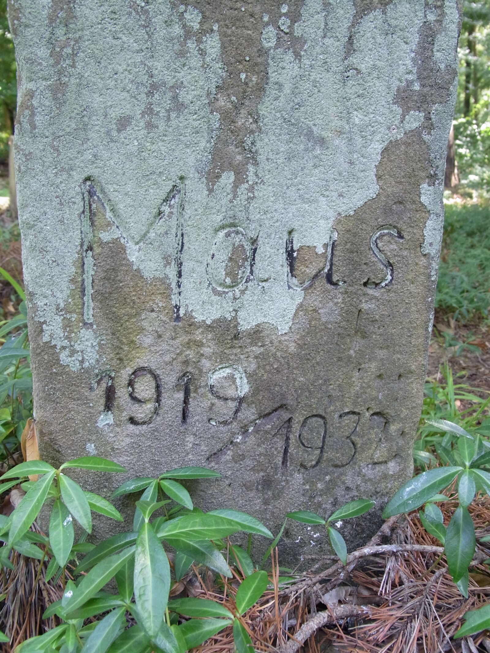 Ricoh CX3 sample photo. Dogs, animals, grave photography