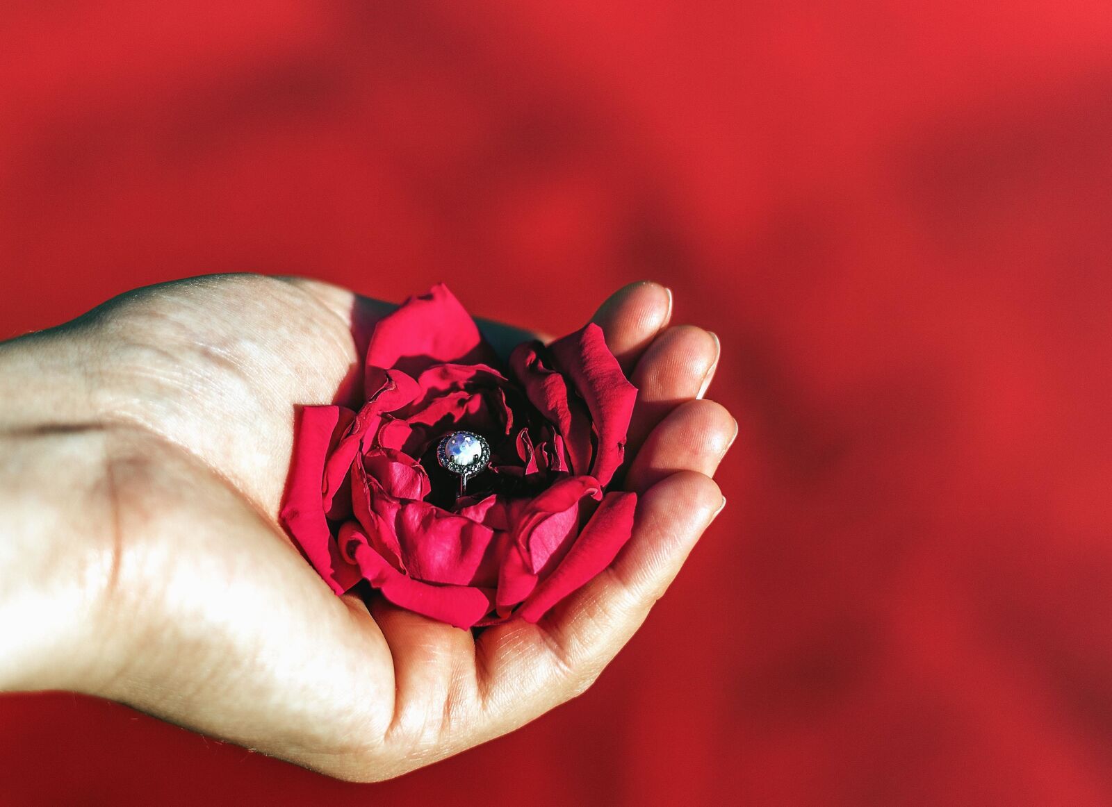 Canon EOS 750D (EOS Rebel T6i / EOS Kiss X8i) sample photo. Hand, petal, flower, ring photography