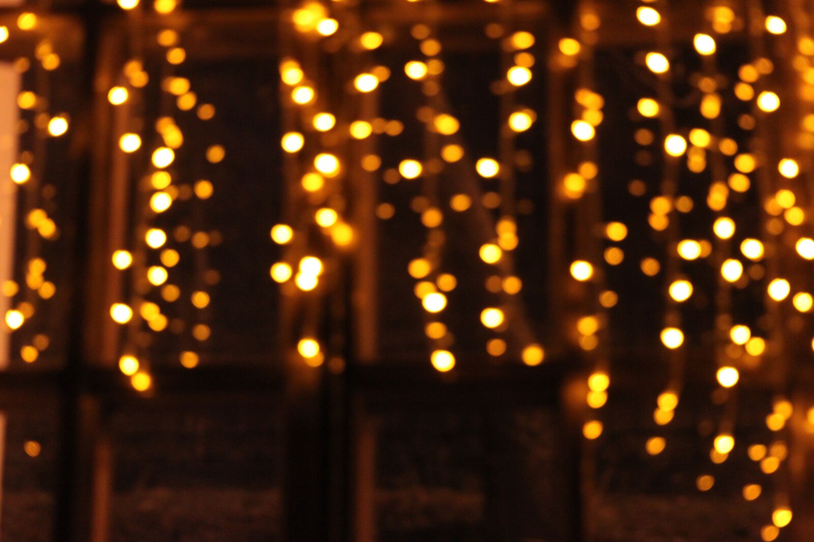 Canon EOS 500D (EOS Rebel T1i / EOS Kiss X3) sample photo. Celebration, bright, colorful photography