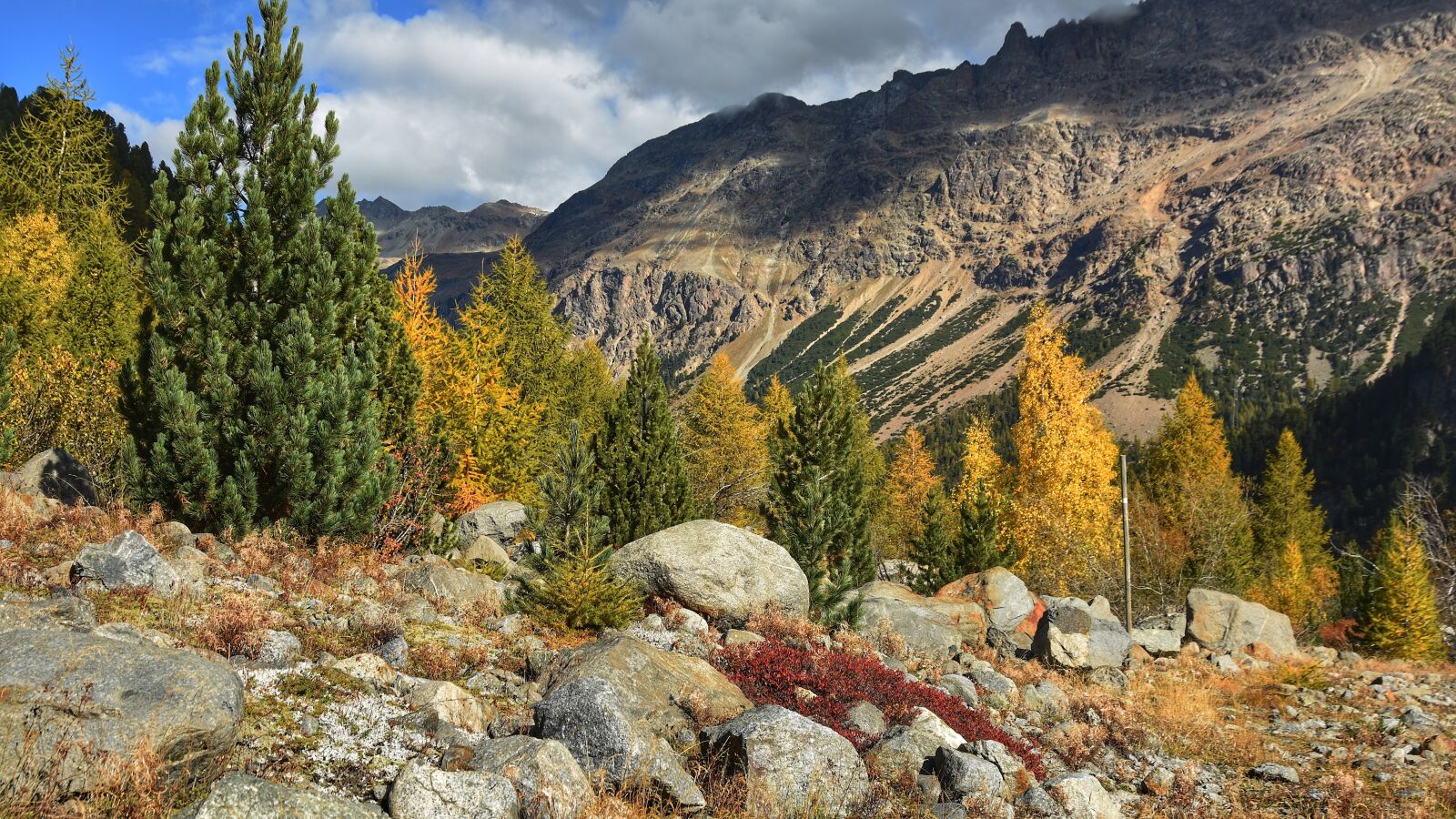 Nikon D7200 sample photo. Mountains, larks, nature photography