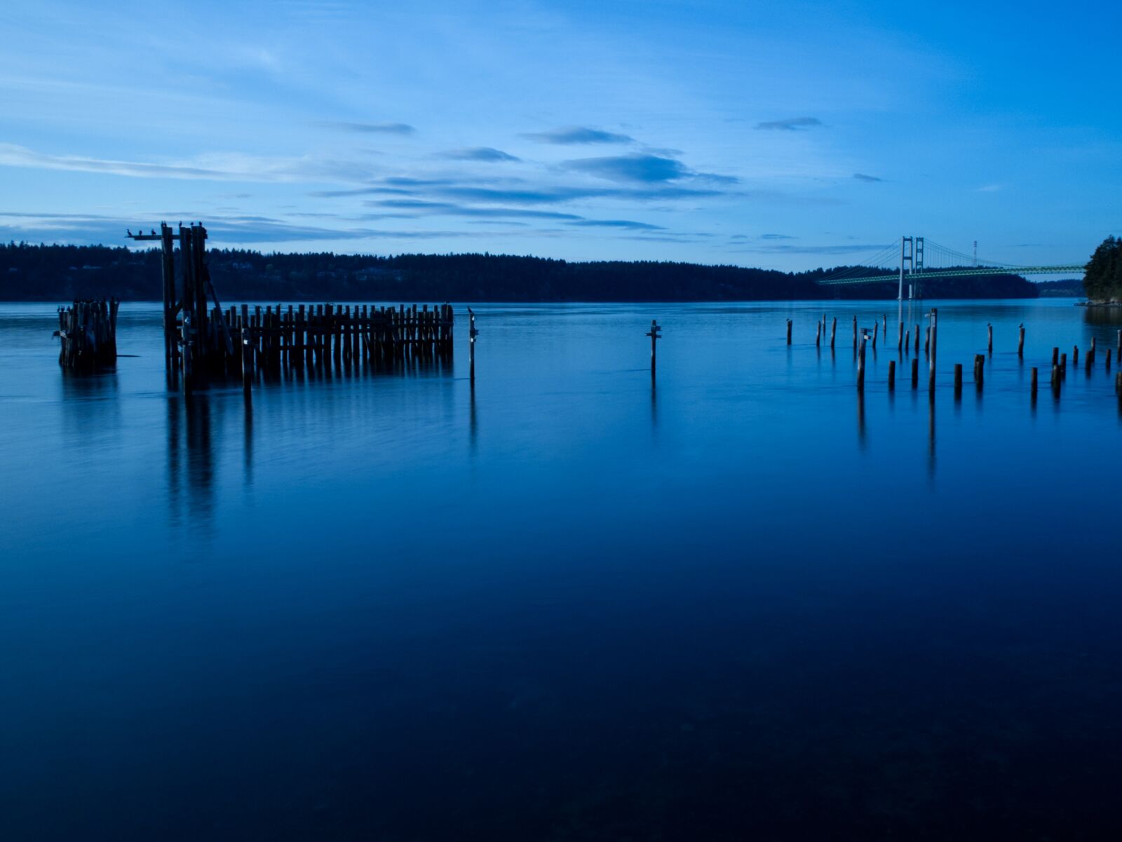 Panasonic Lumix DMC-FZ1000 sample photo. Puget sound, narrows bridge photography