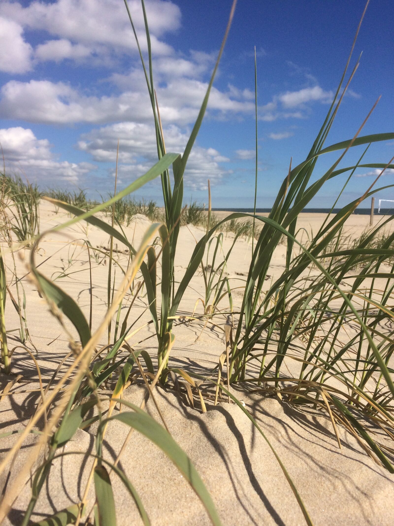 iPhone 5s back camera 4.15mm f/2.2 sample photo. Beach, beachlife photography