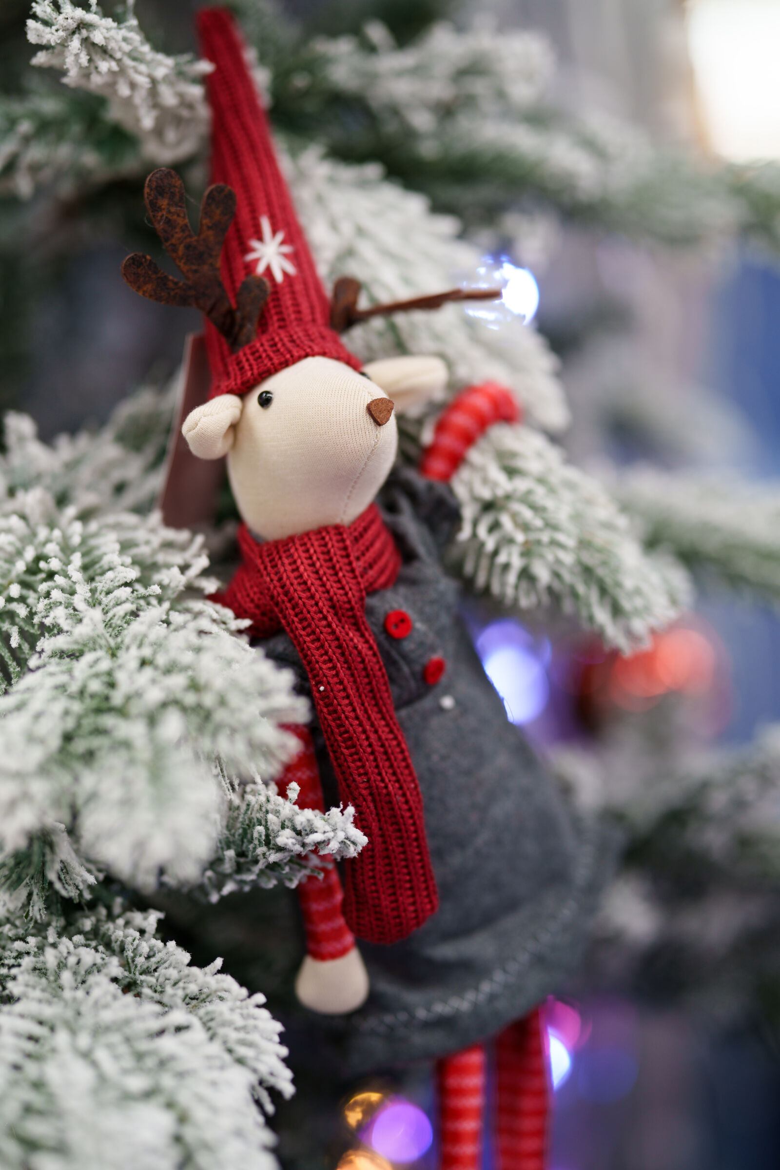 Sony FE 85mm F1.4 GM II sample photo. Season begin photography