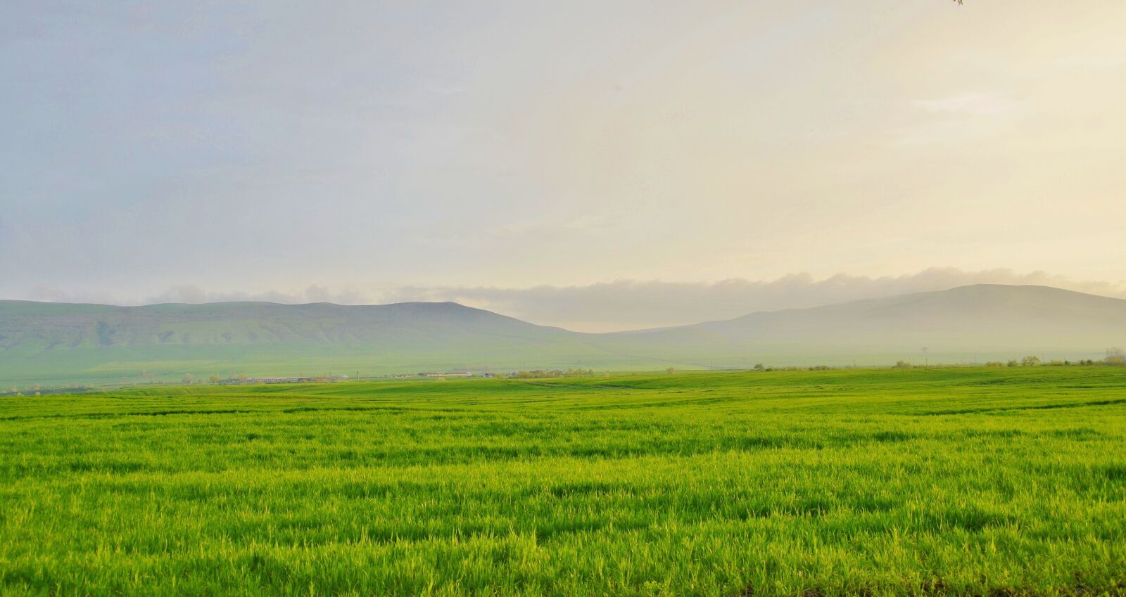 Nikon D7000 sample photo. Tree, landscape, nature photography