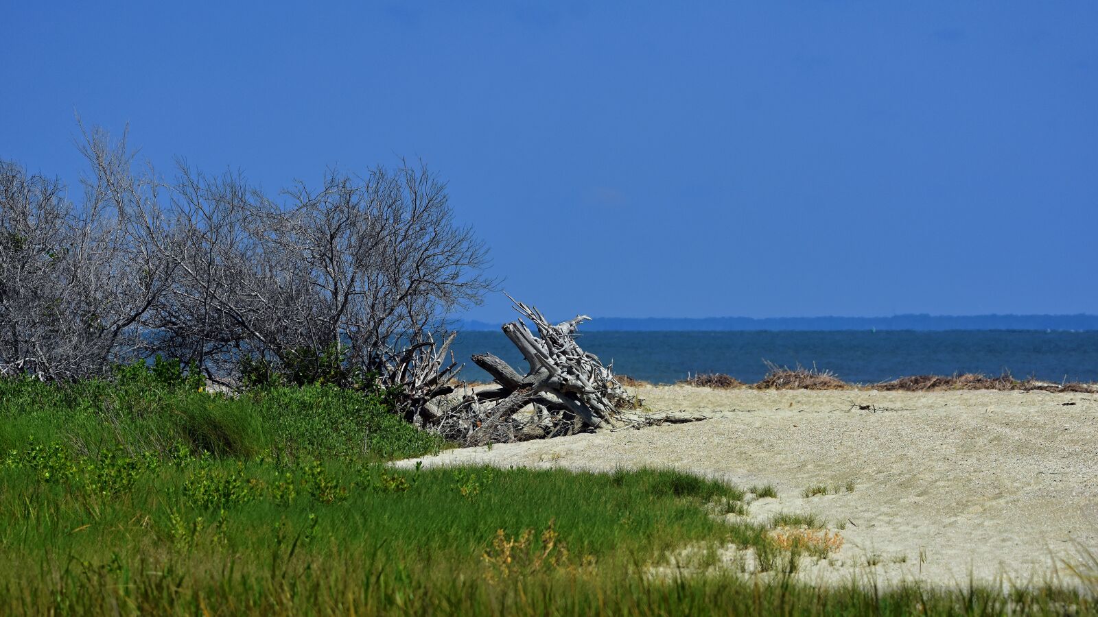Nikon D7200 sample photo. Beach, blue, green photography
