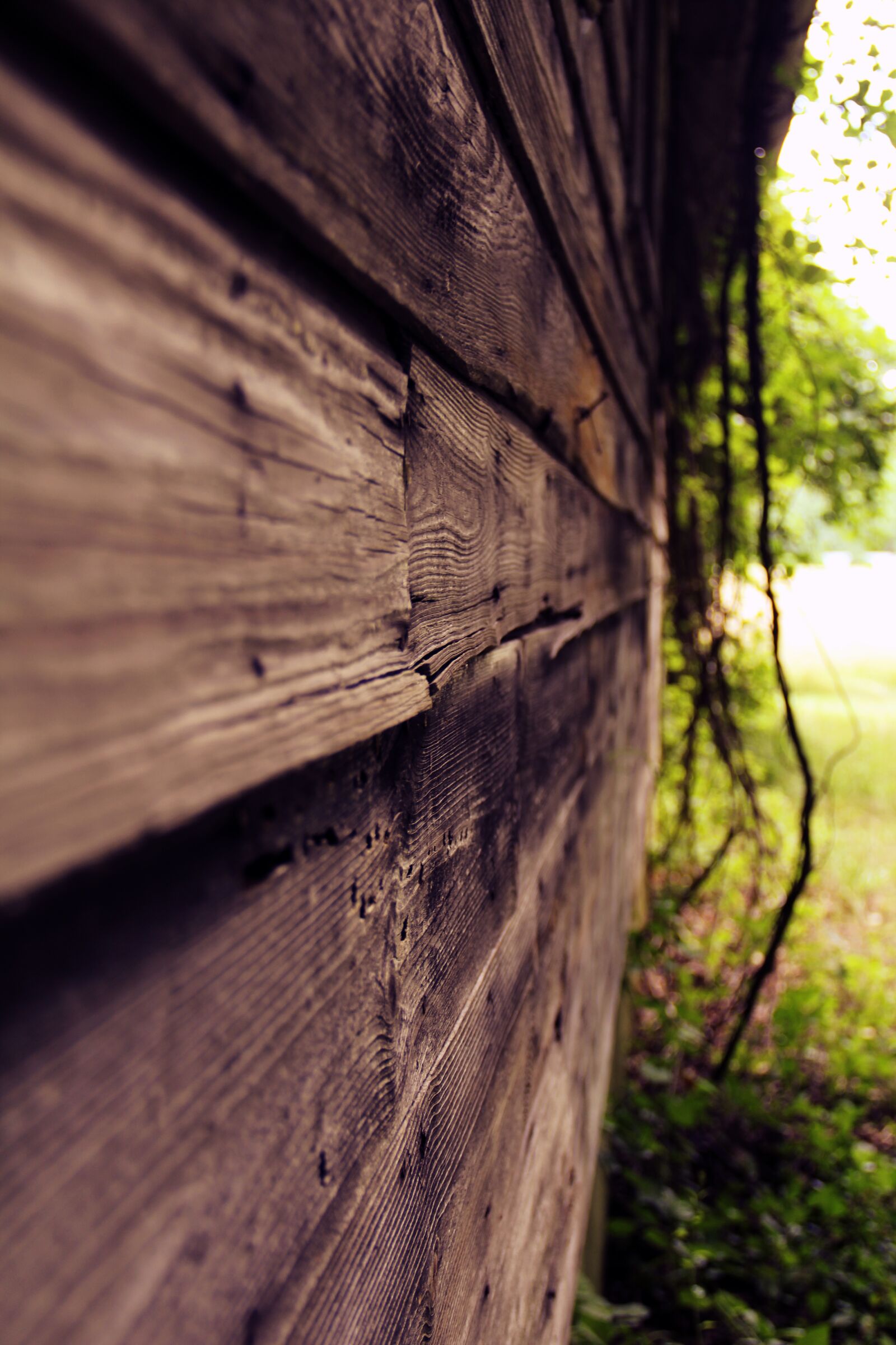 Canon EOS 60D sample photo. Barn, old, abandoned photography
