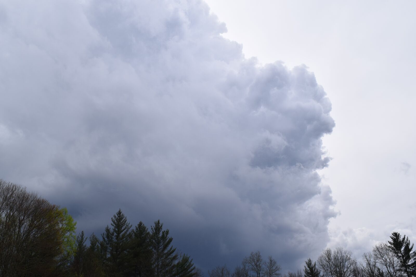 Nikon D3300 sample photo. Rainy day, storm clouds photography