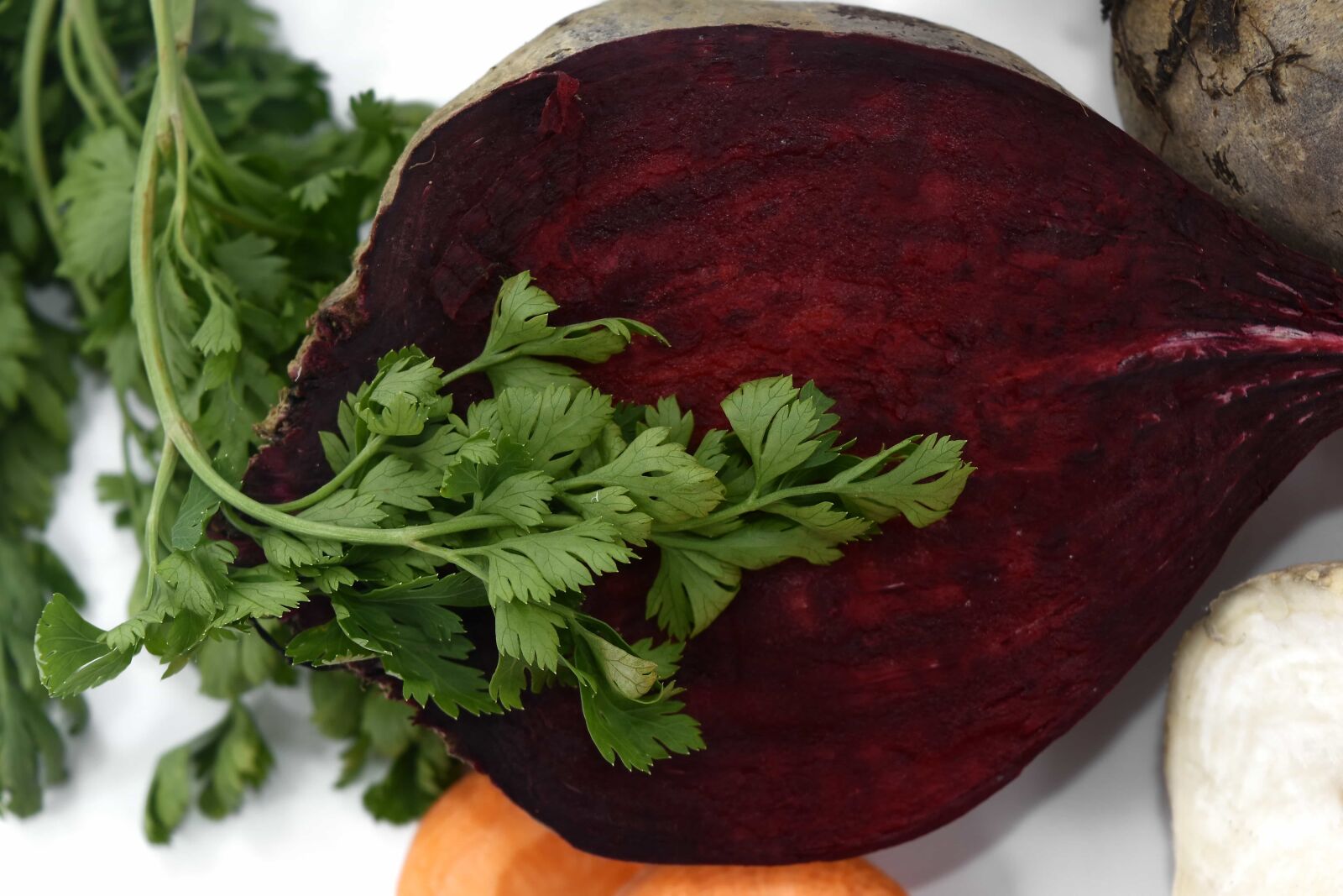 Nikon D5500 sample photo. Beetroot, cross section, green photography