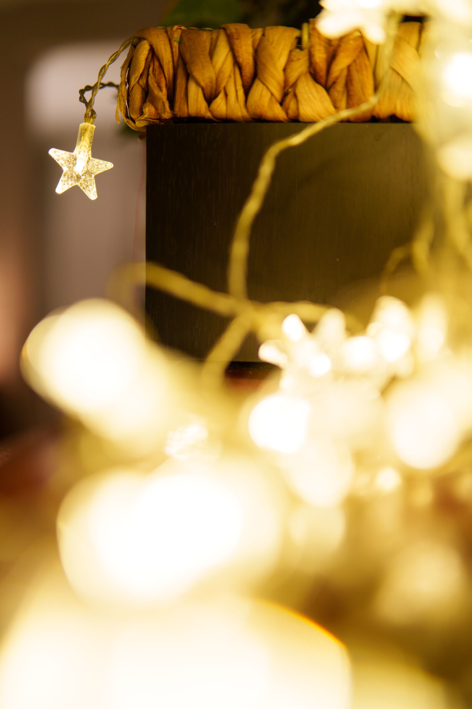 Samyang AF 35mm F1.4 P sample photo. Star of the night photography