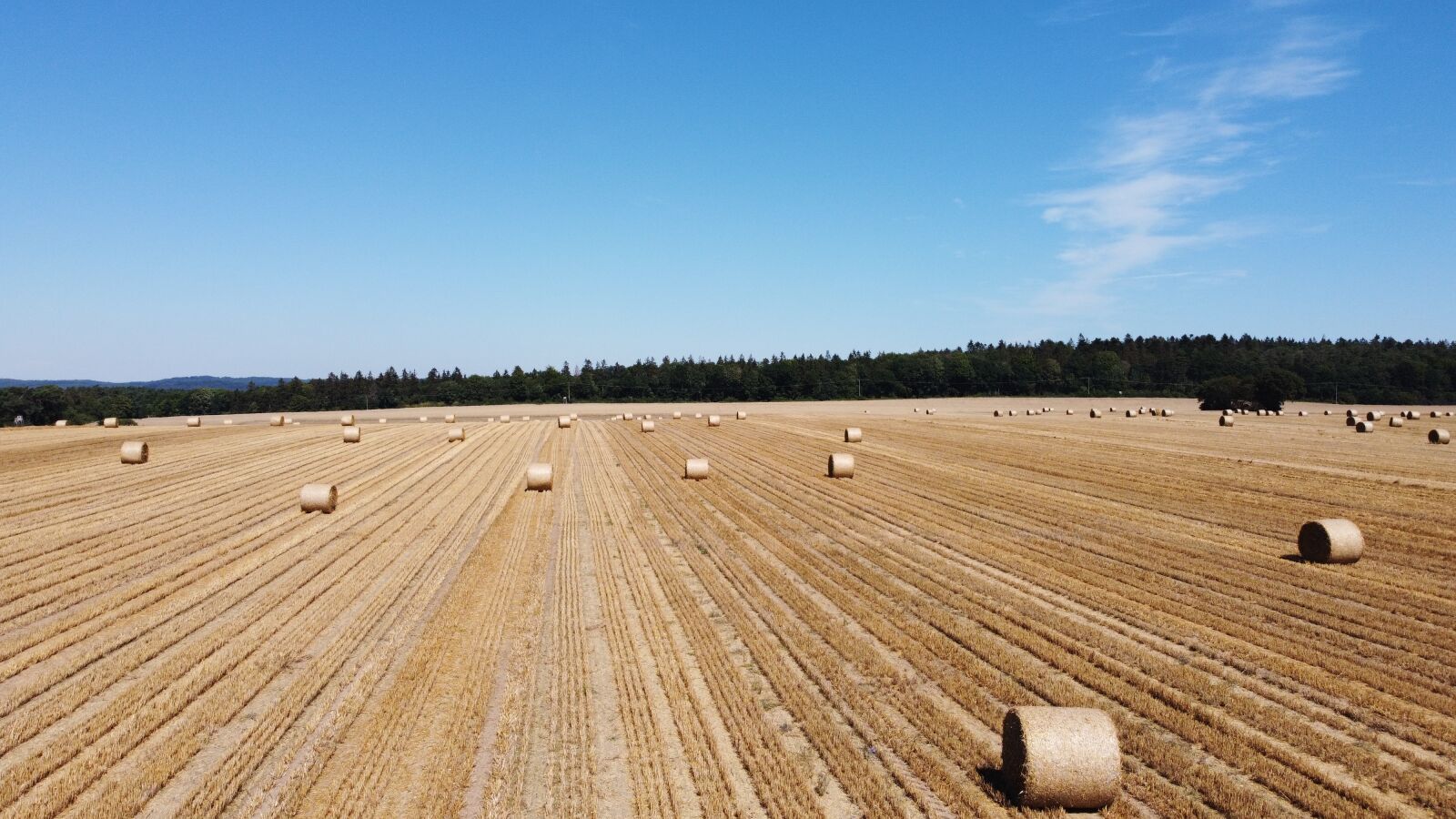 DJI FC7203 sample photo. Straw bales, baltic sea photography