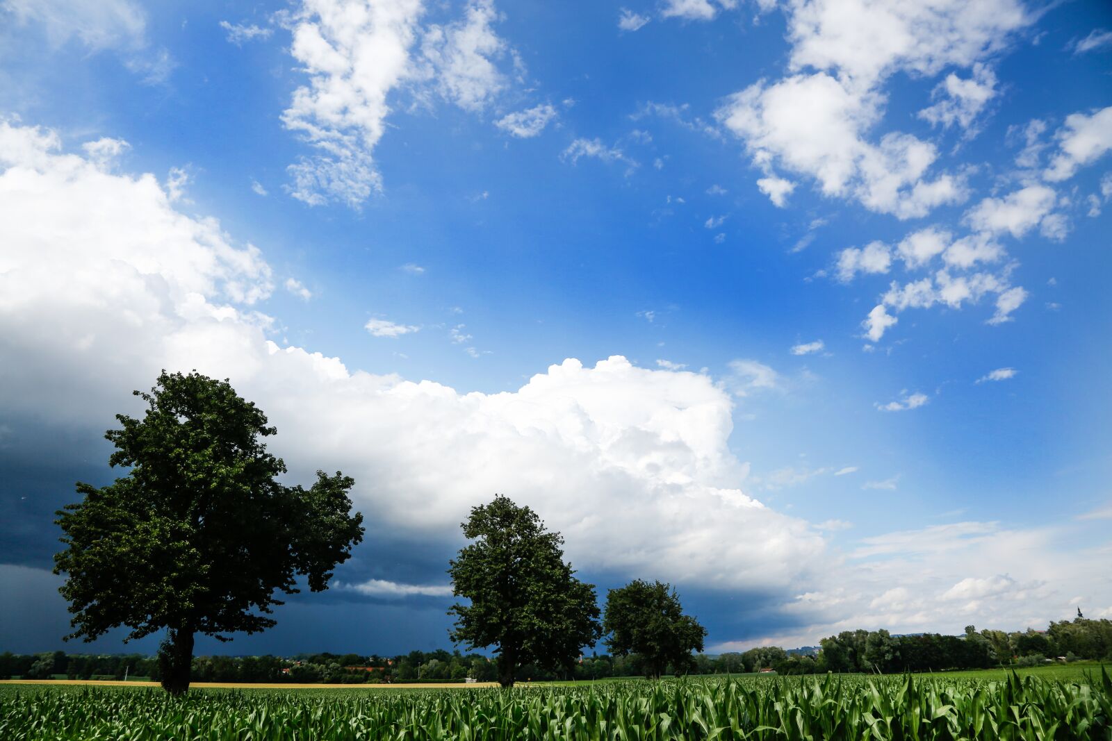 Canon EF 24-105mm F4L IS USM sample photo. Sky, clouds, blue photography