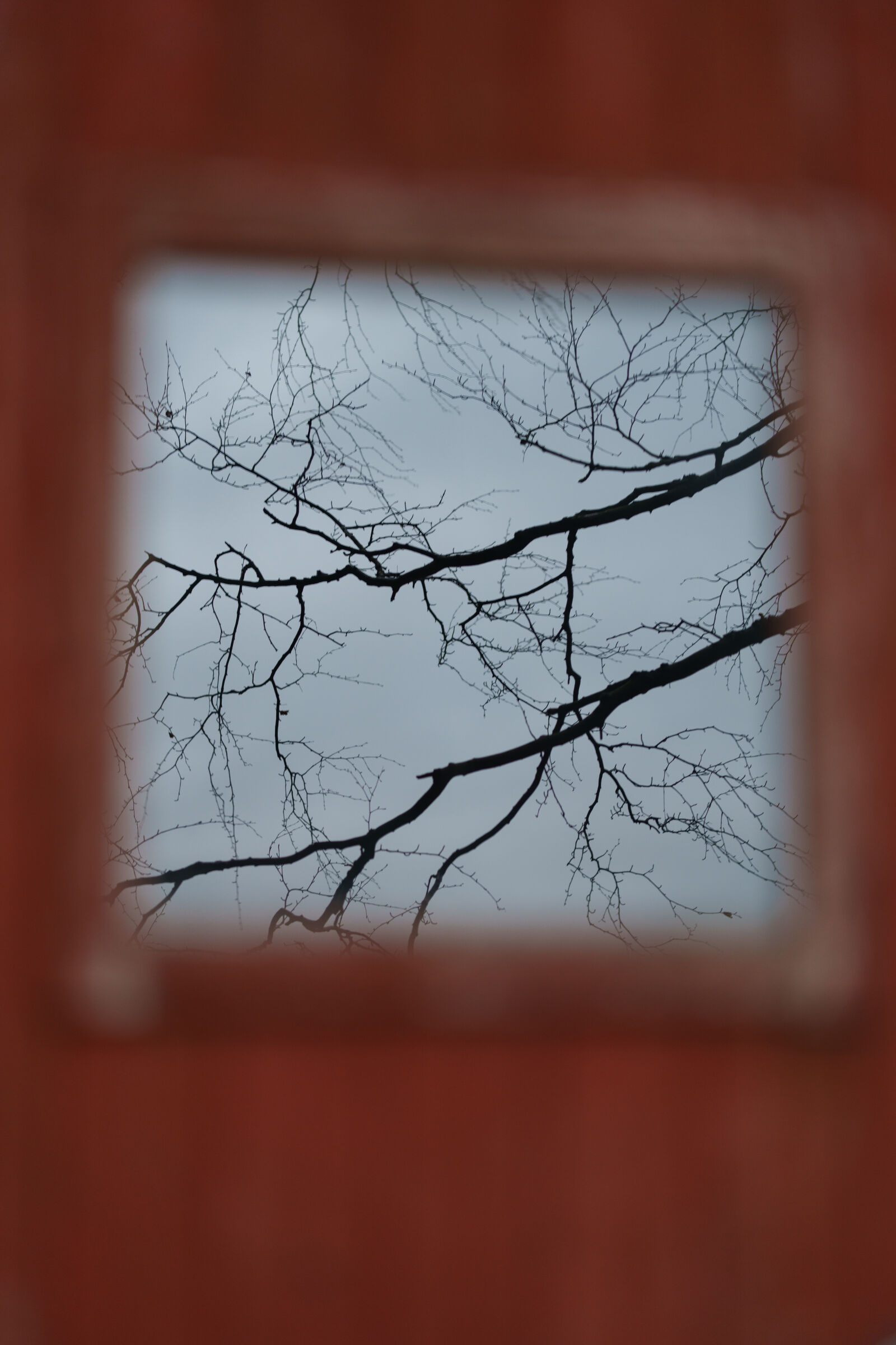 Sony FE 85mm F1.4 GM II sample photo. Window view photography