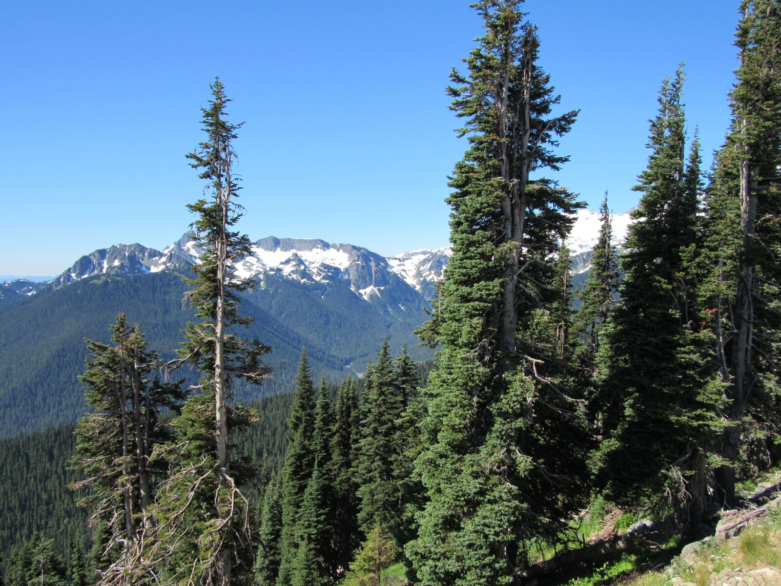 Canon PowerShot SX530 HS sample photo. Outlook at mt, rainier photography
