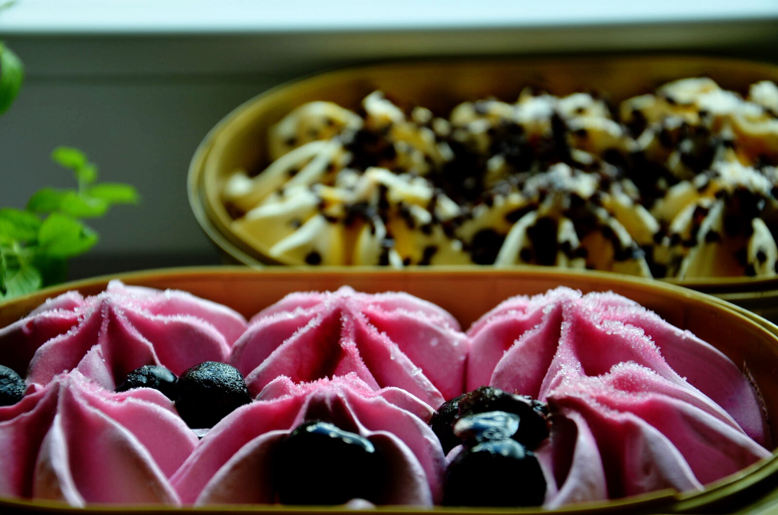 Nikon D5100 sample photo