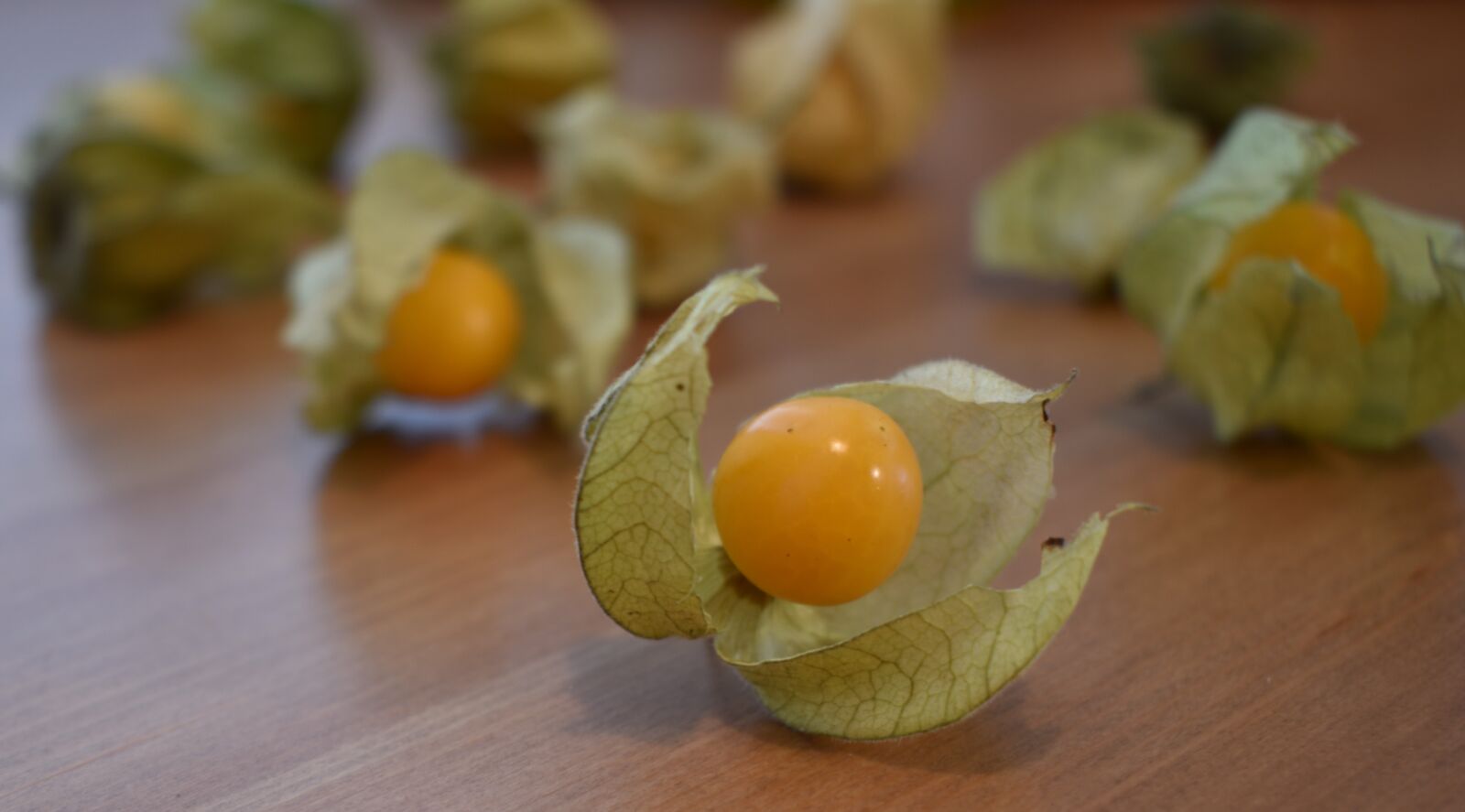 Nikon D5600 sample photo. Gooseberry, physalis, healthy photography