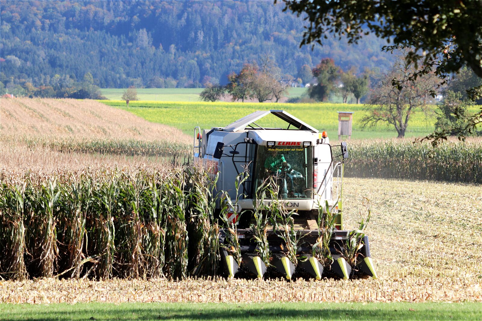 Canon EF 70-300 F4-5.6 IS II USM sample photo. Corn harvest, combine harvester photography