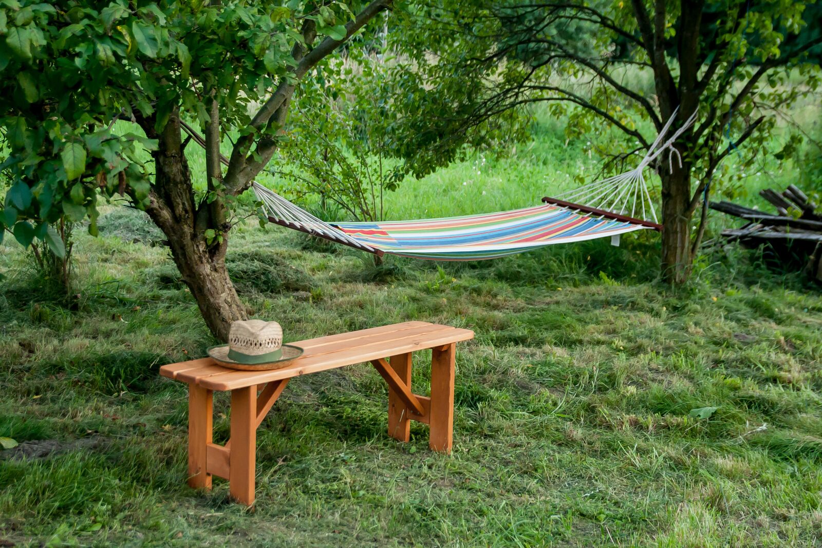 Canon EOS 40D sample photo. Bench, hat, scene photography