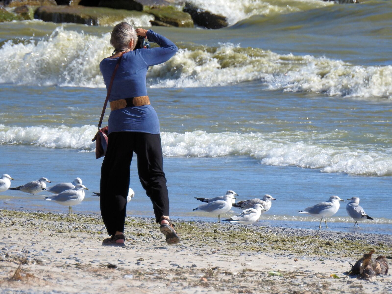 Nikon Coolpix P900 sample photo. Photographer, waves, seagulls photography