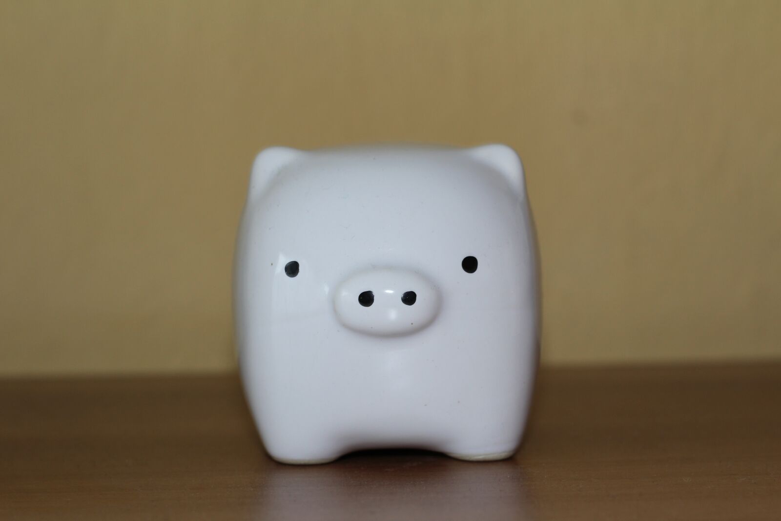 Canon EOS 1200D (EOS Rebel T5 / EOS Kiss X70 / EOS Hi) sample photo. Piggy, piggy bank, white photography