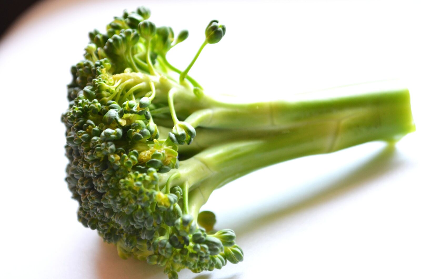 Nikon D5100 sample photo. Broccoli, vegetable, green, diet photography