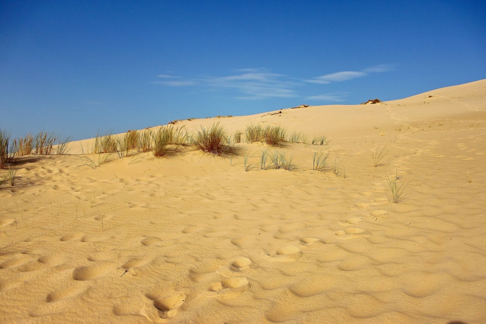 Canon EOS 500D (EOS Rebel T1i / EOS Kiss X3) sample photo. Sand, dune, dune pyla photography