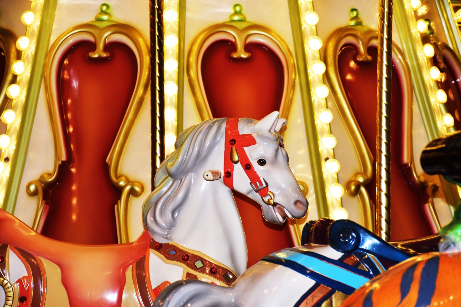 Nikon D5600 sample photo. Carousal, children, entertainment photography
