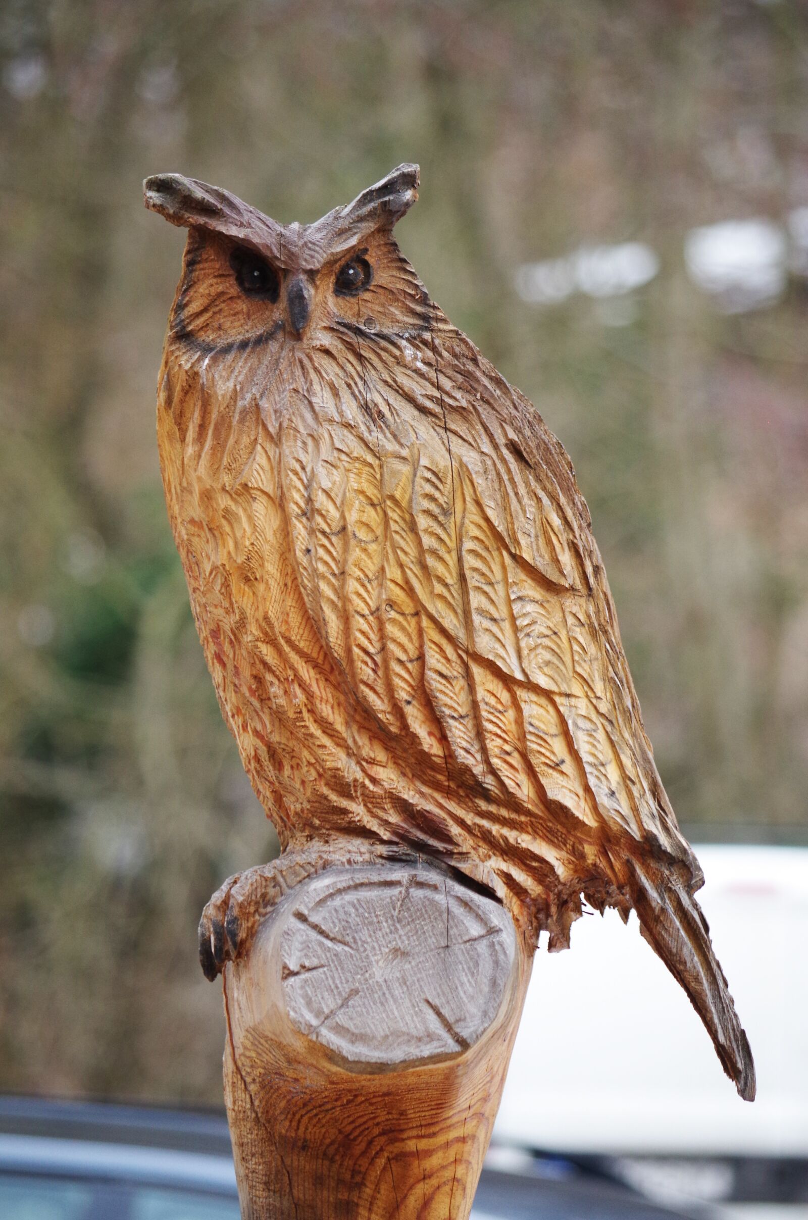 Pentax K-500 sample photo. Owl, wood photography