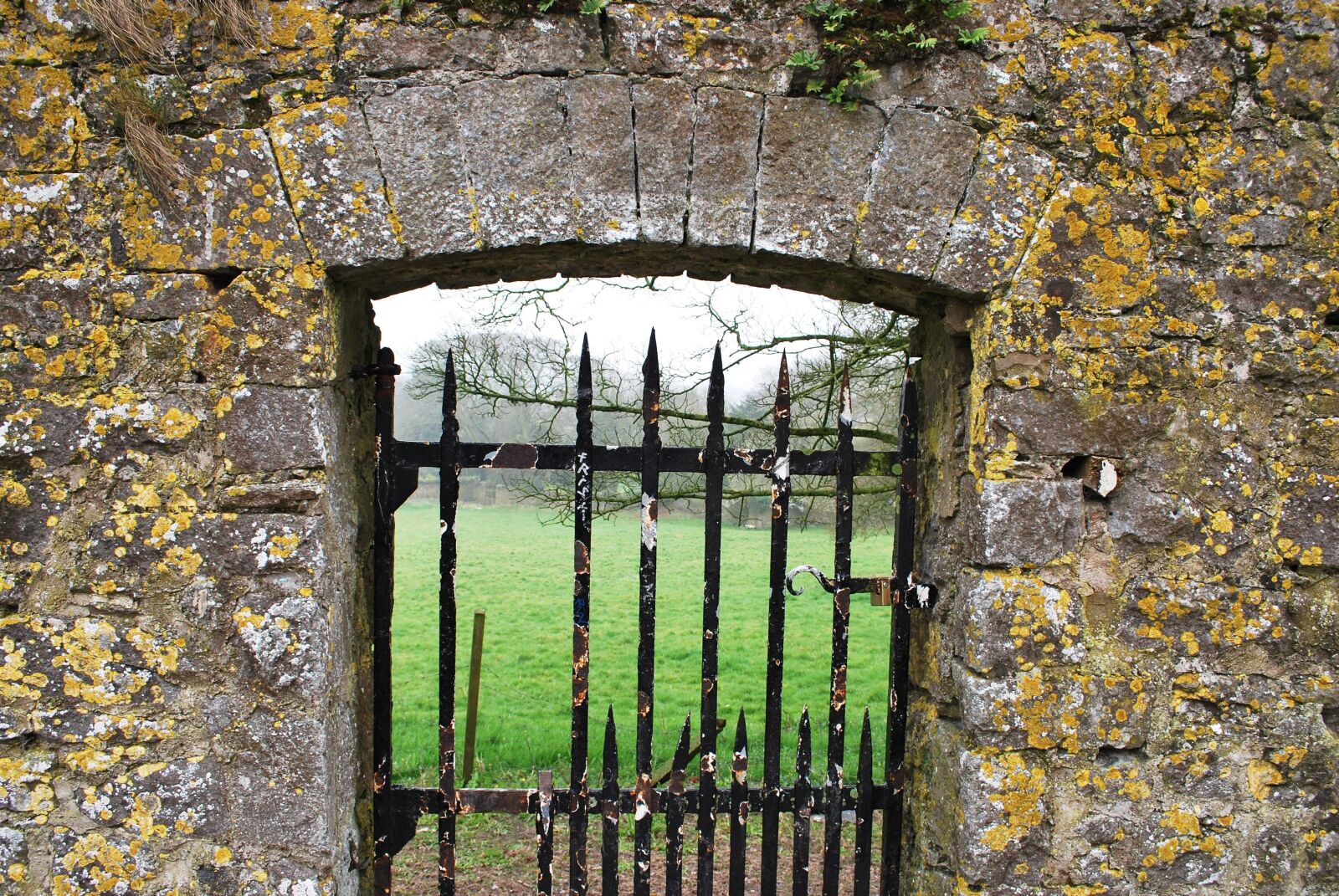 Nikon D60 sample photo. Ireland, scenery, county photography