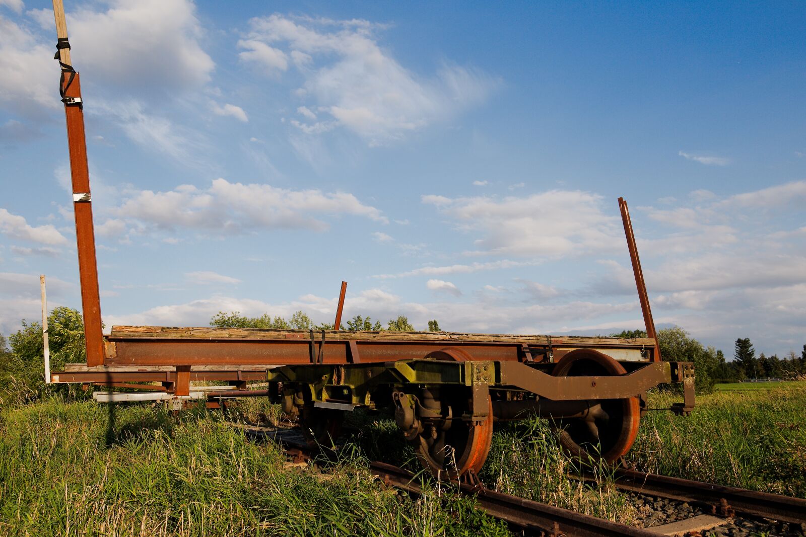 Canon EOS 6D sample photo. Industry, nature, grass photography