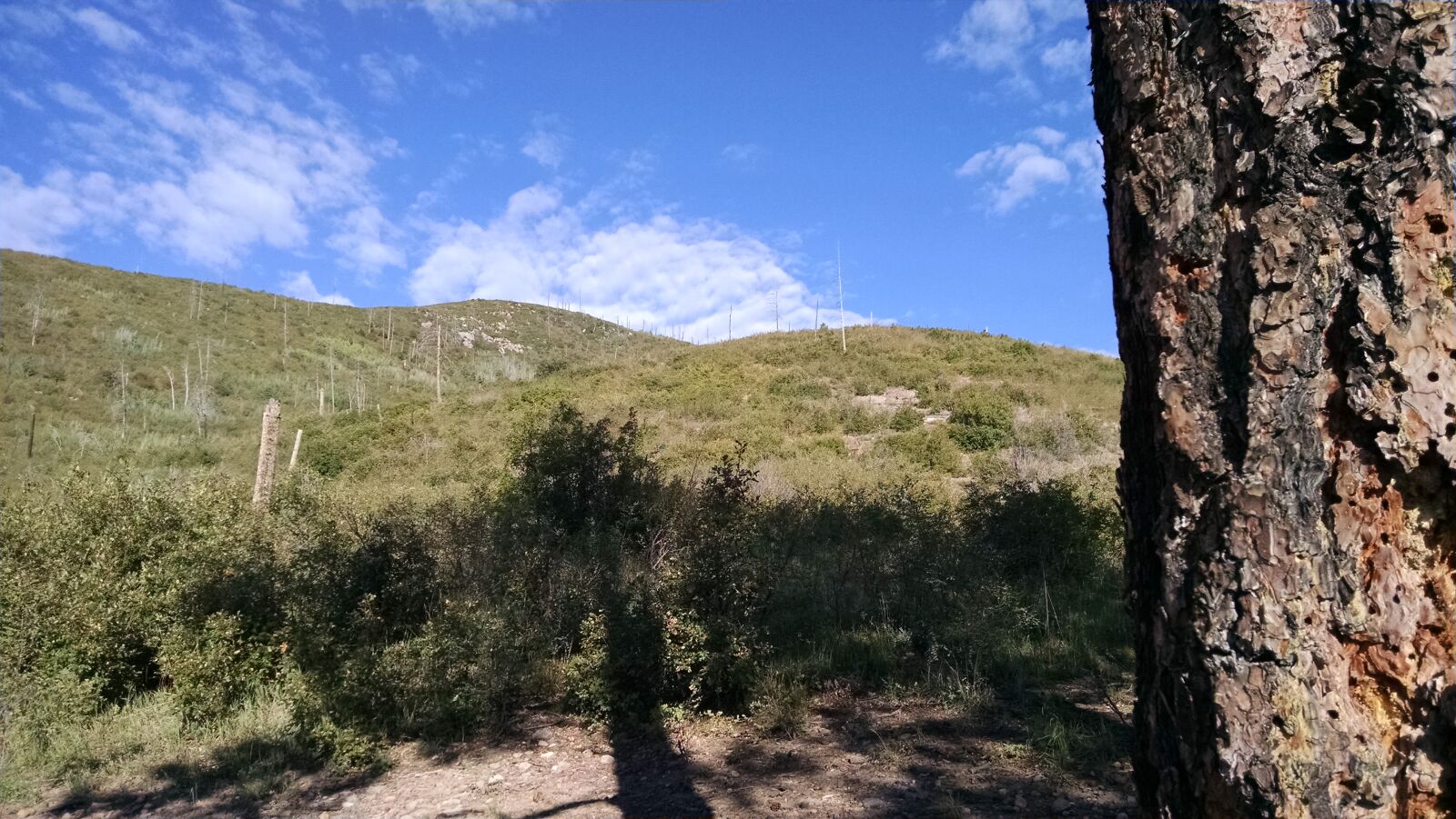 Motorola XT1080 sample photo