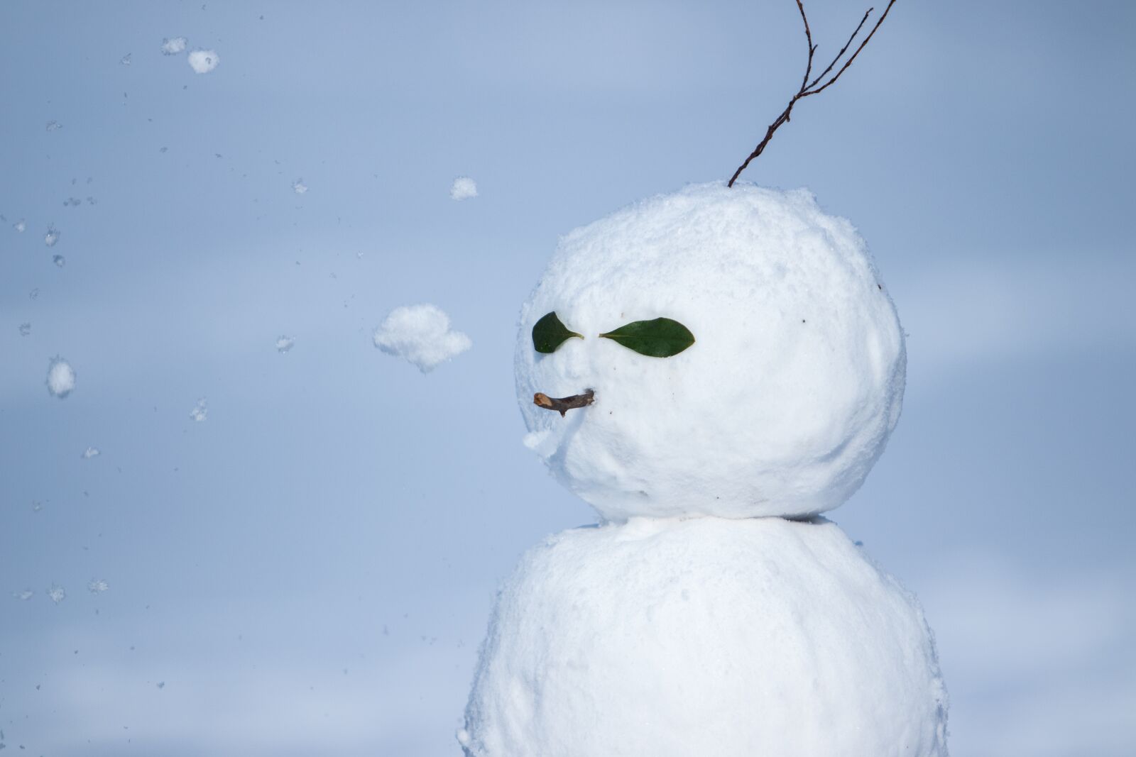 Canon EF 70-200mm F2.8L USM sample photo. Snow, snowman, winter photography