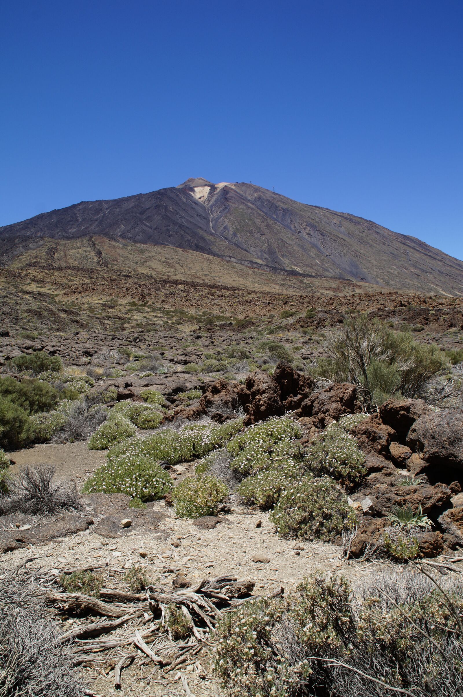 Sony SLT-A58 sample photo. Teide national park, national photography