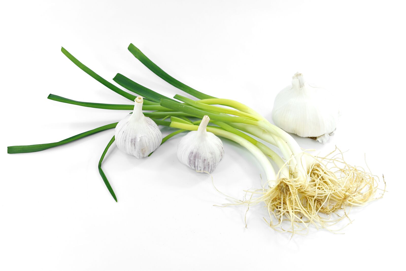 Nikon D5500 sample photo. Agriculture, appetite, garlic, leek photography