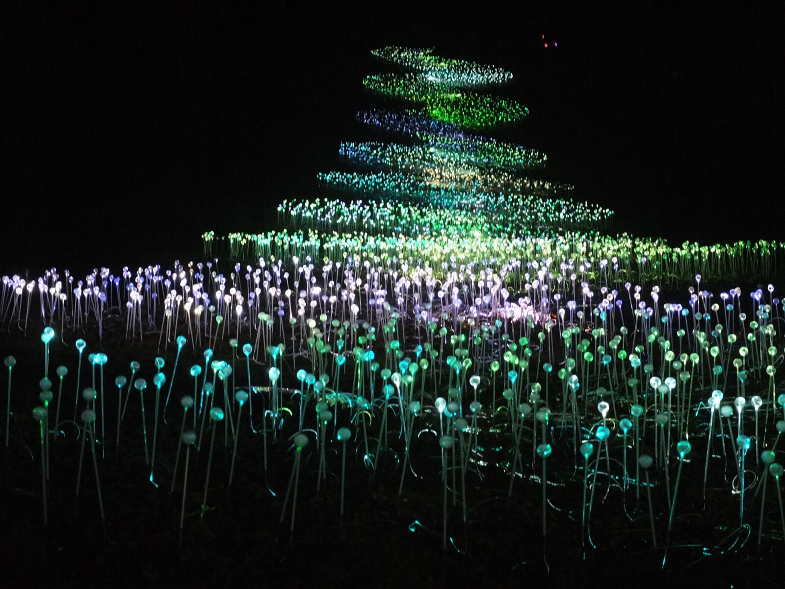 Fujifilm X10 sample photo. Lights, scenic, colour photography