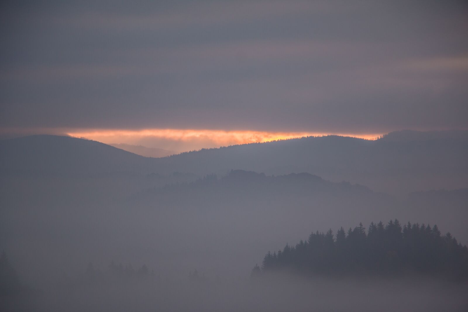 Canon EOS 70D sample photo. Wild, nature, sunrise photography