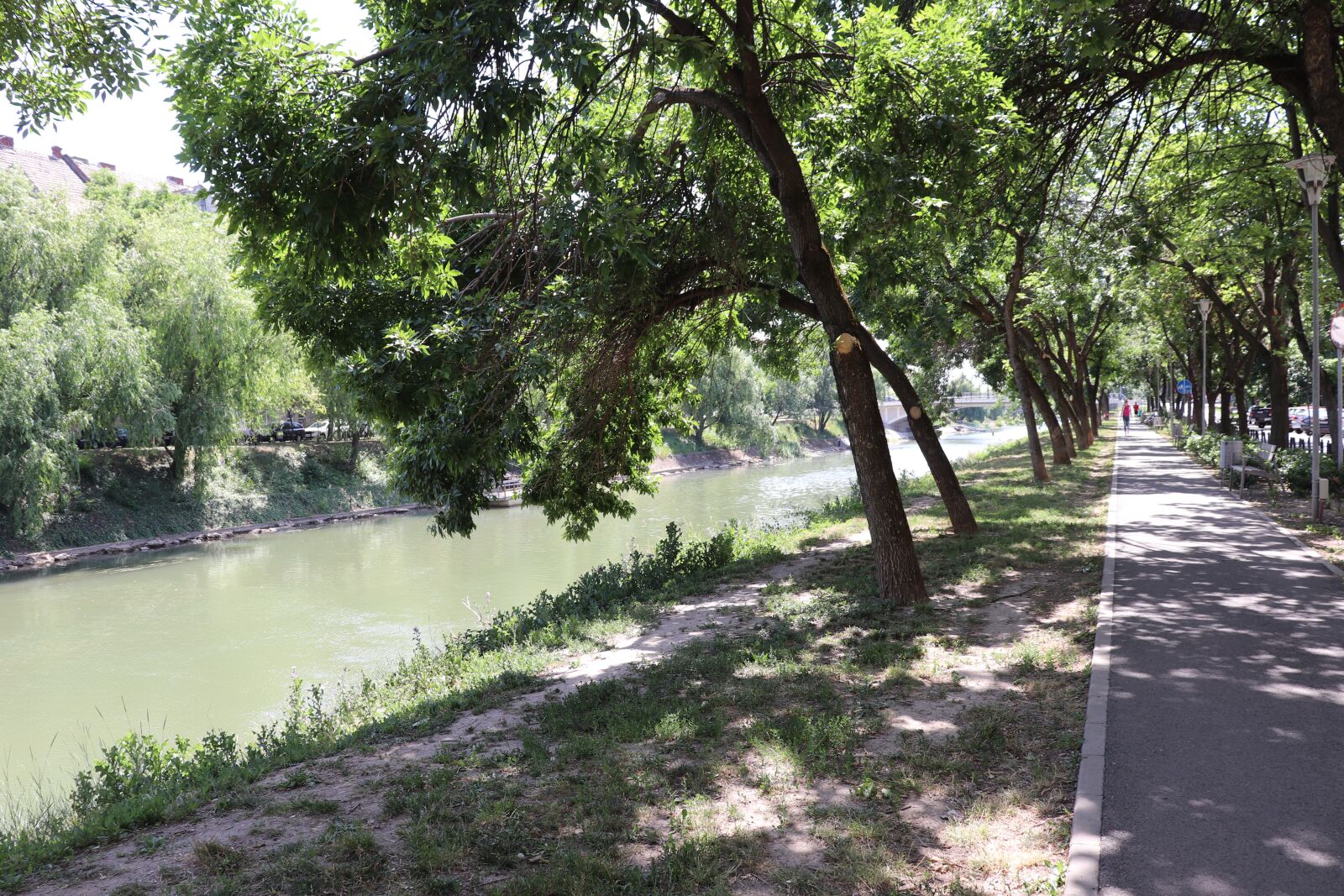 Canon EOS 200D (EOS Rebel SL2 / EOS Kiss X9) sample photo. Park, river, bega photography