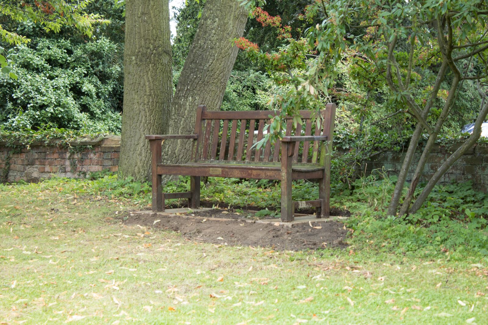 Canon EOS 1300D (EOS Rebel T6 / EOS Kiss X80) sample photo. Bench, empty, empty bench photography