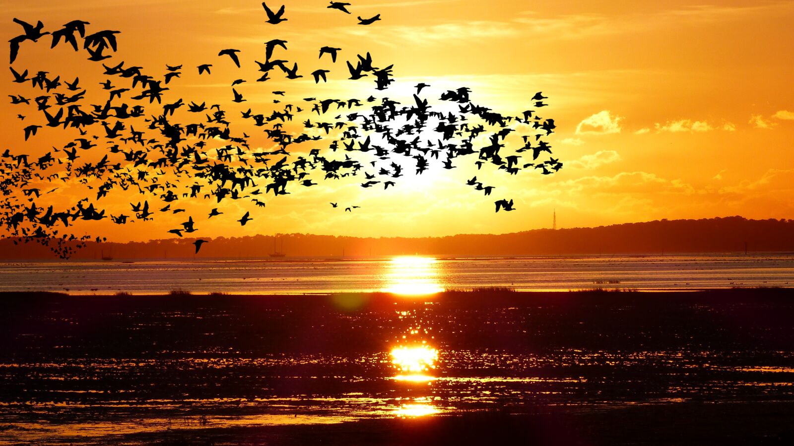 Panasonic Lumix DMC-FZ200 sample photo. Sunset, sea, ocean photography