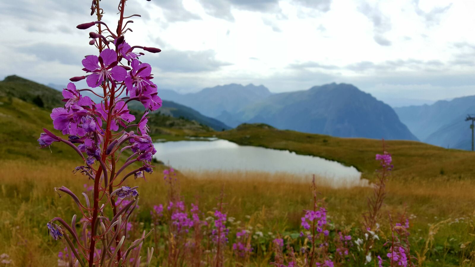 Samsung Galaxy S6 sample photo. Mountain, flower, lake photography