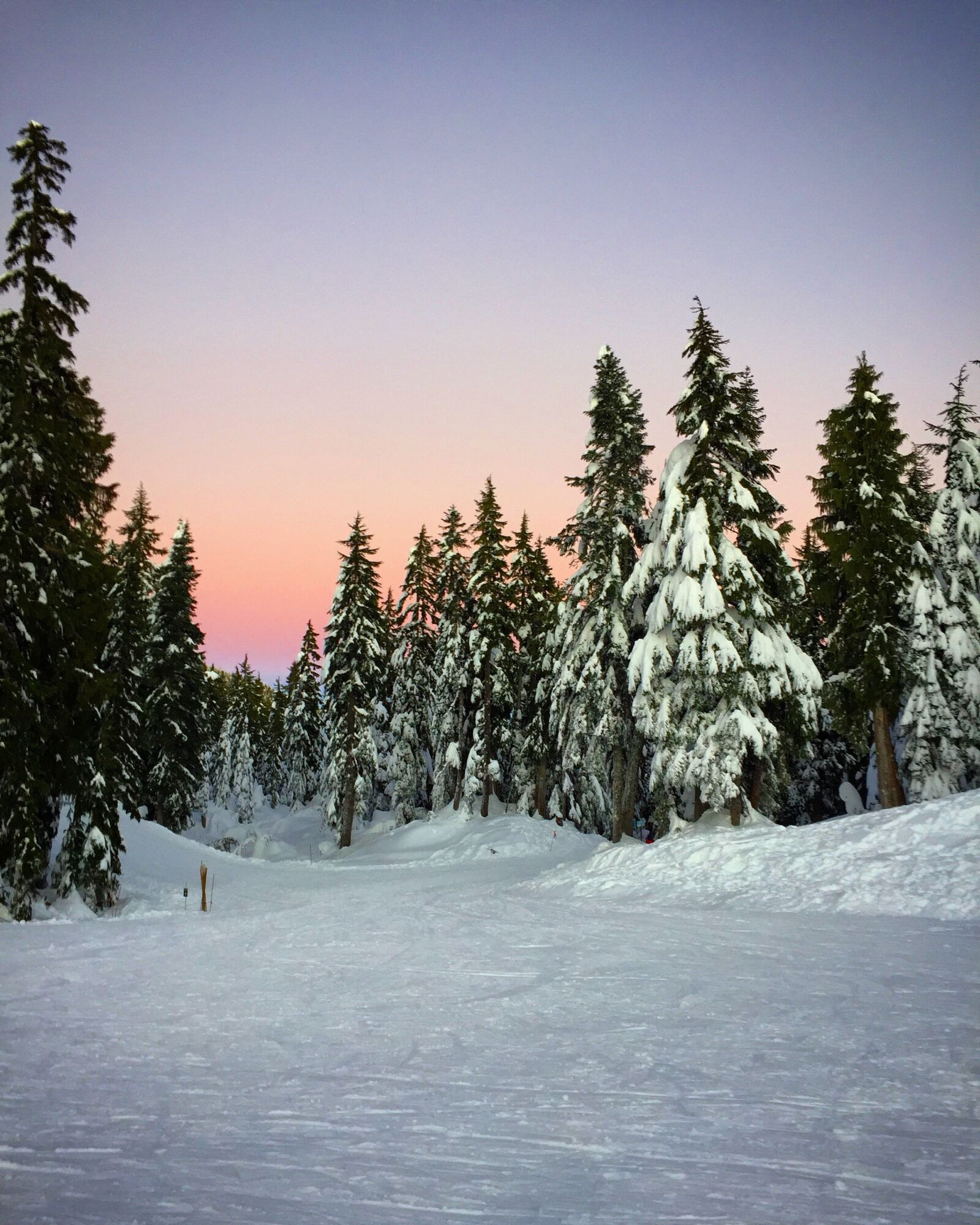 Apple iPhone 6 sample photo. British, columbia, canada, cypress photography