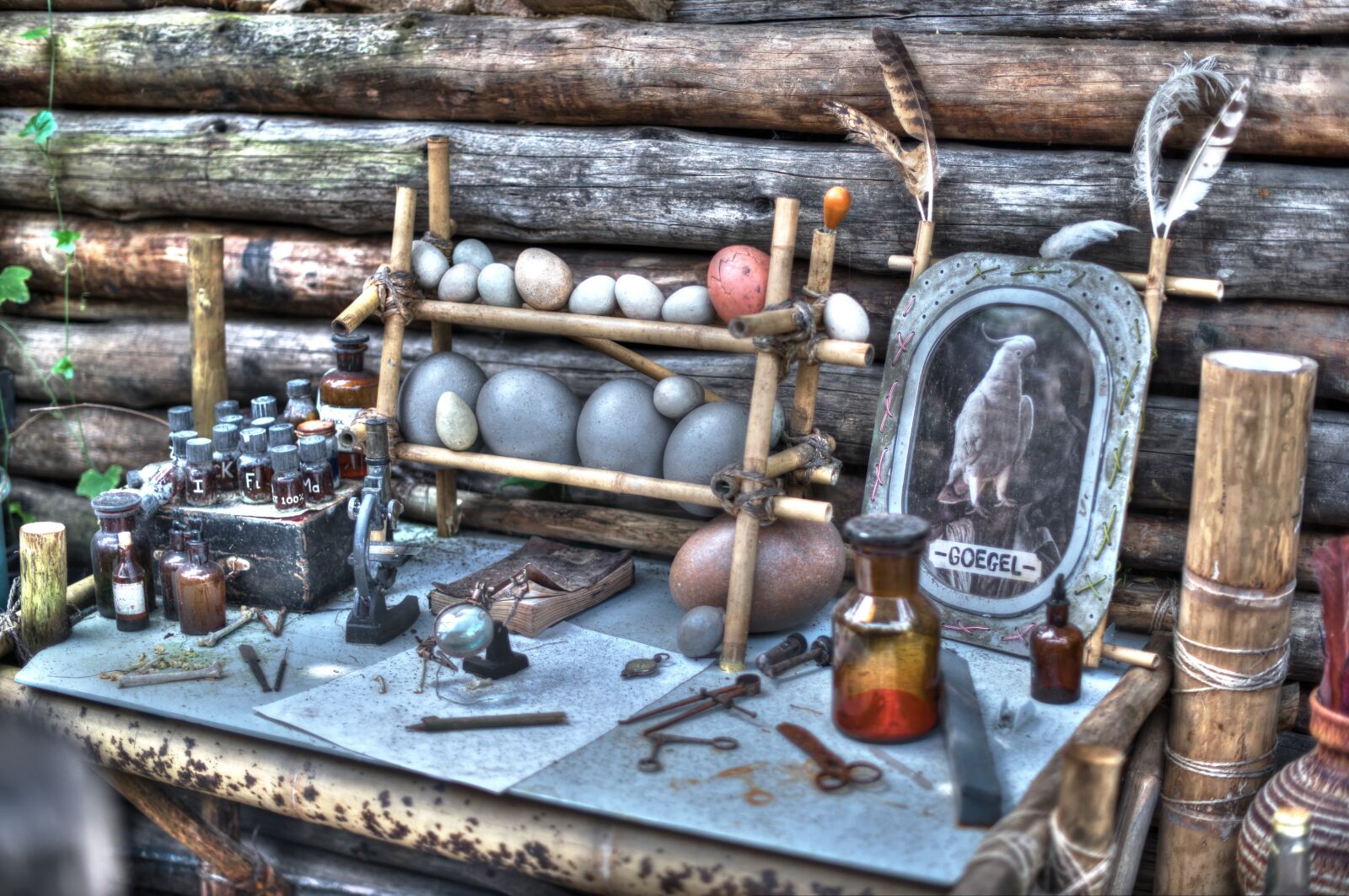 Nikon D600 sample photo. Bird, feather, eggs photography