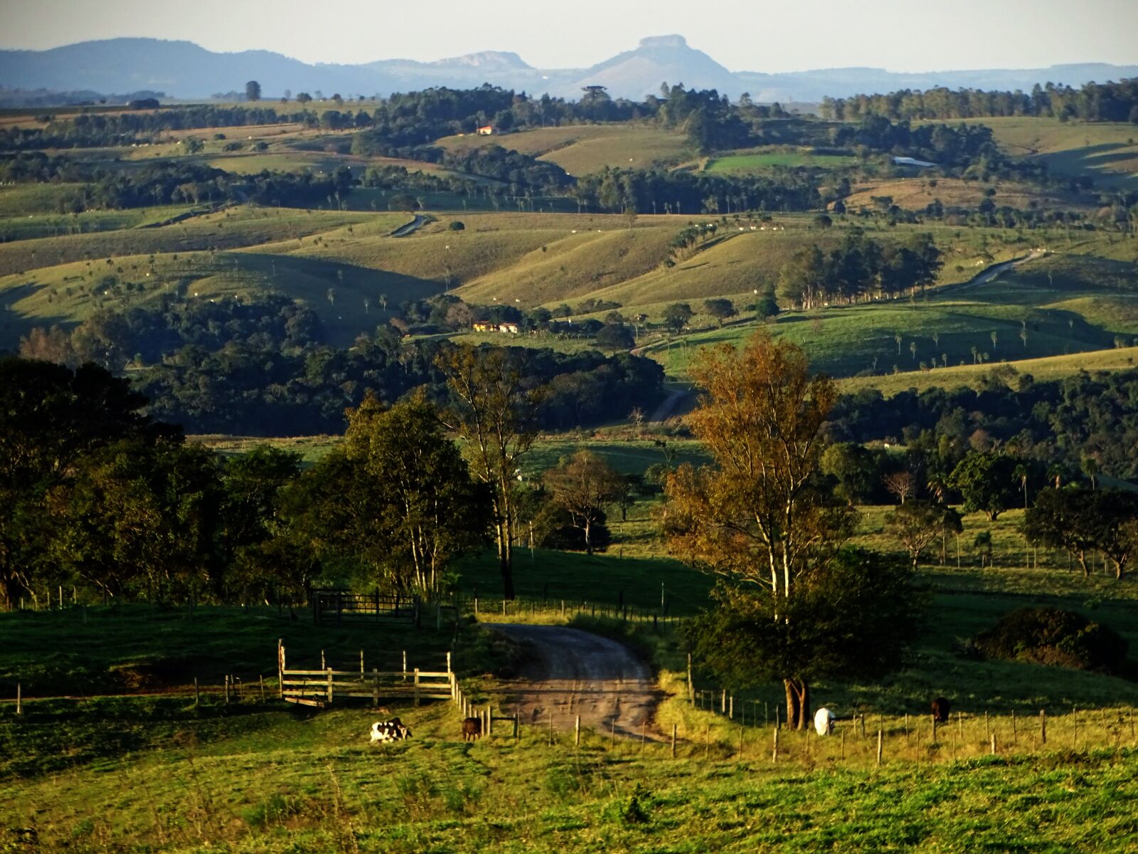Sony Cyber-shot DSC-HX400V sample photo. Landscape, field, nature photography