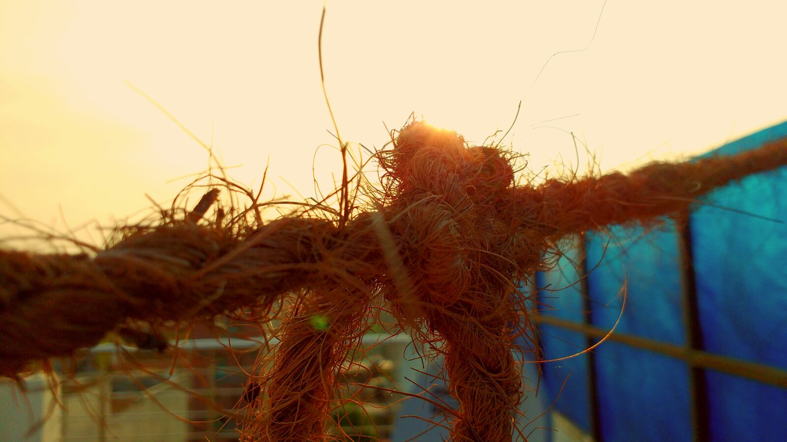 Motorola MotoG3 sample photo