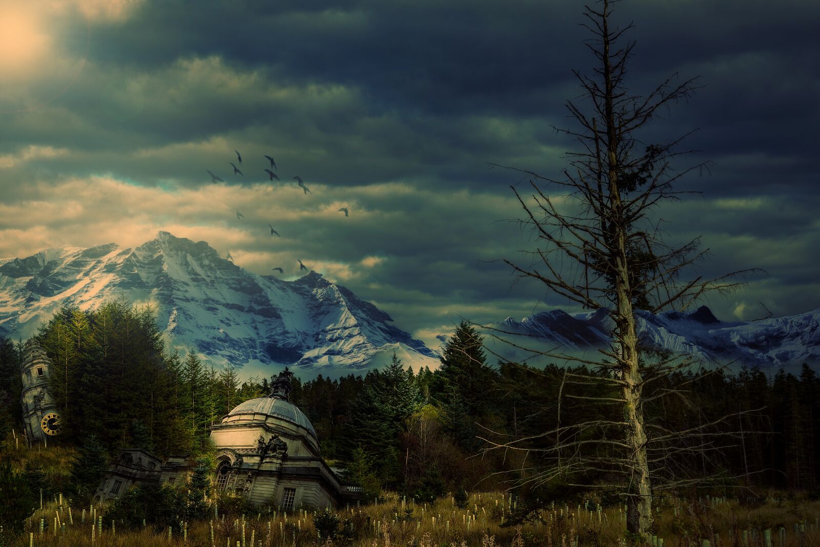Nikon D3200 sample photo. Apocalyptic, trees, forest photography