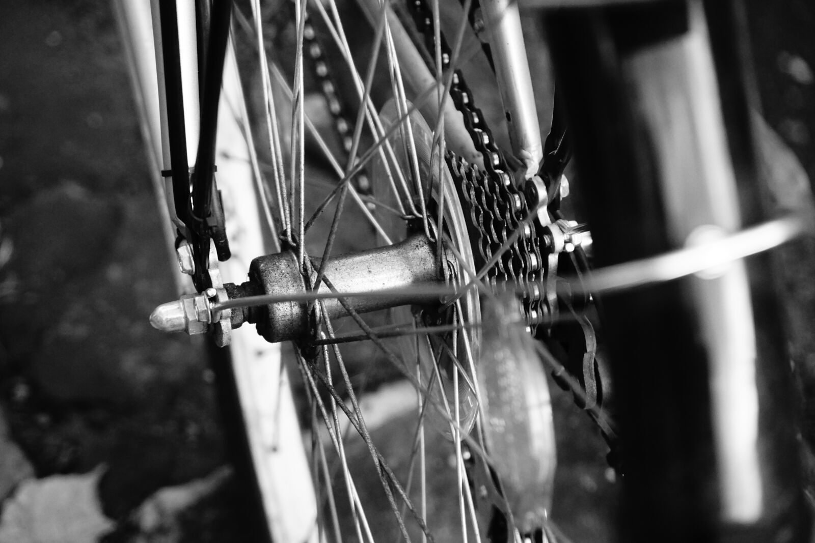 Sony a6300 sample photo. Bike, wheel, chain photography