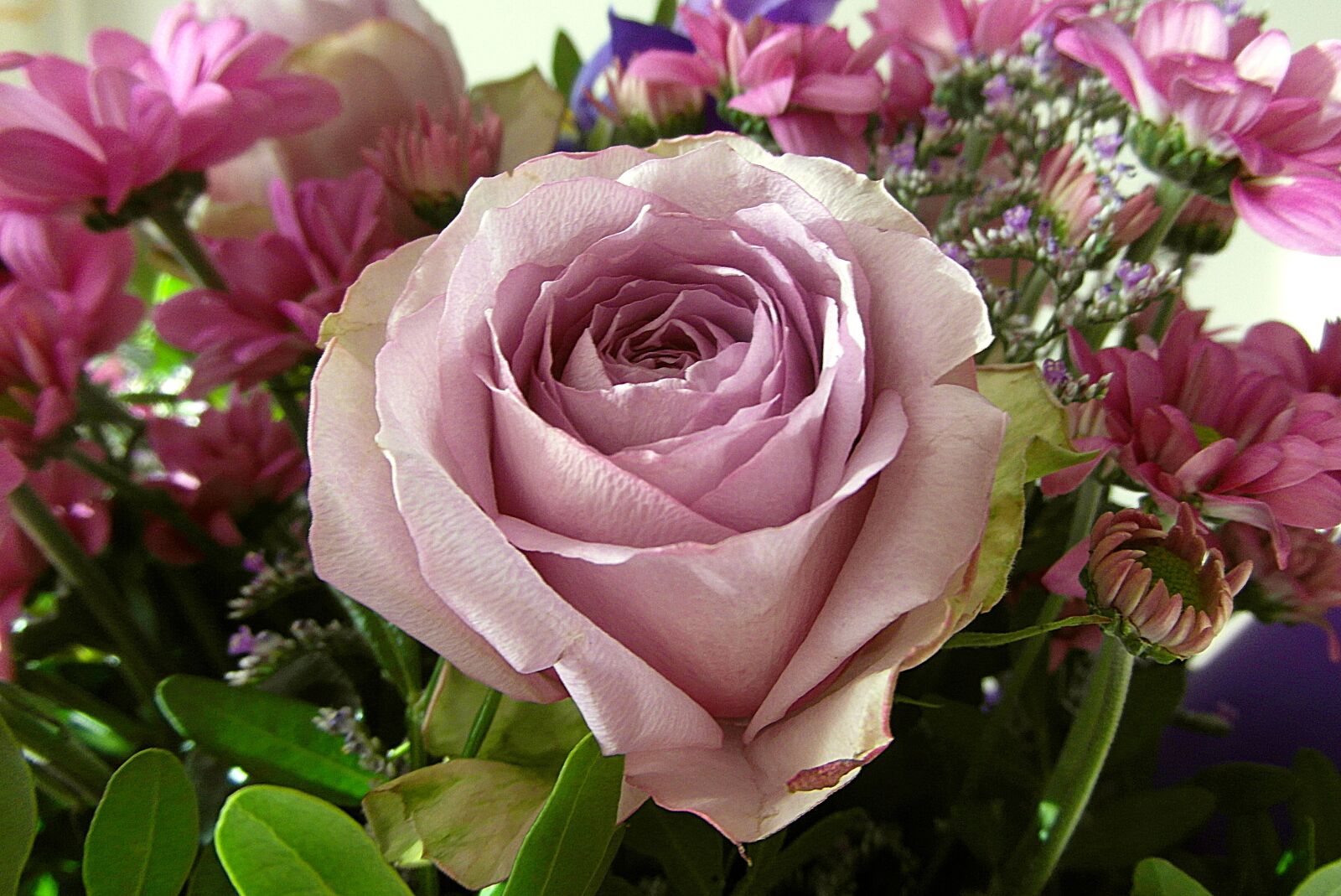 Samsung WB750 sample photo. Rose, bouquet, flowers photography
